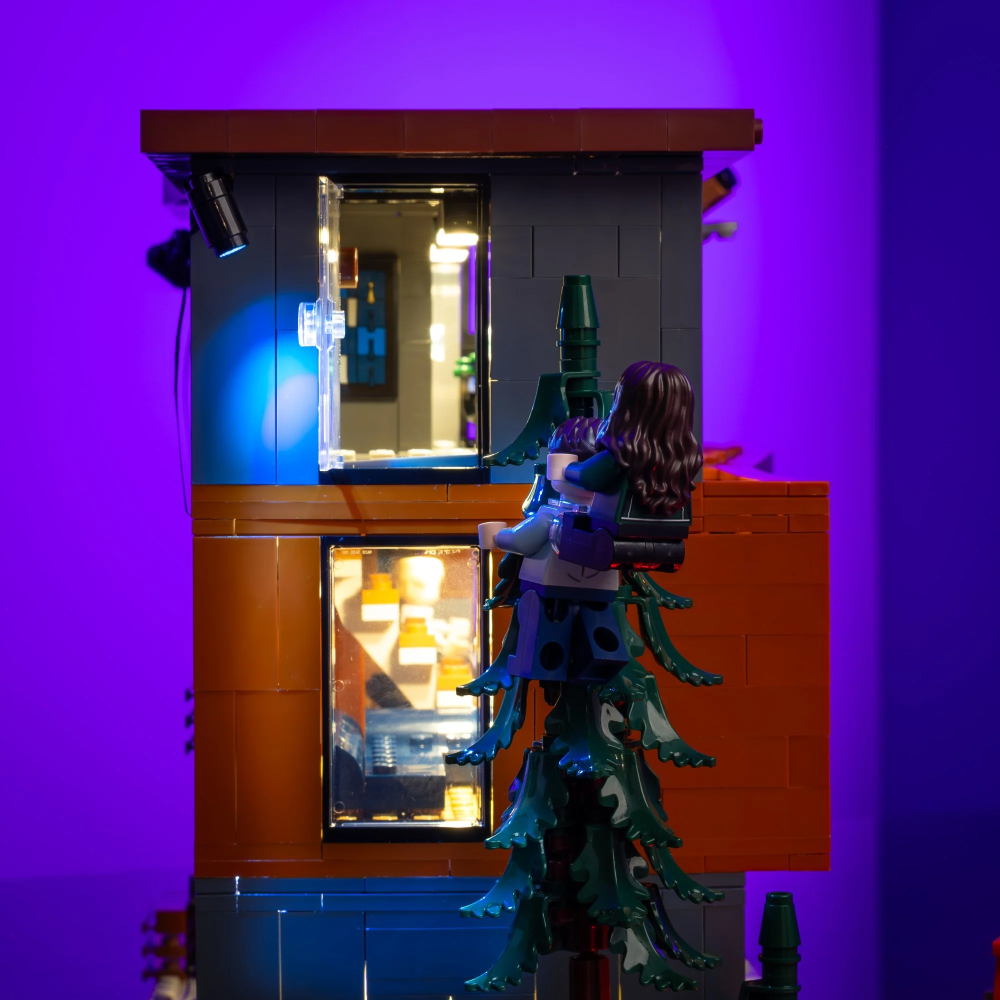 Light Kit for LEGO® Twilight The Cullen House #21354 - Image 8