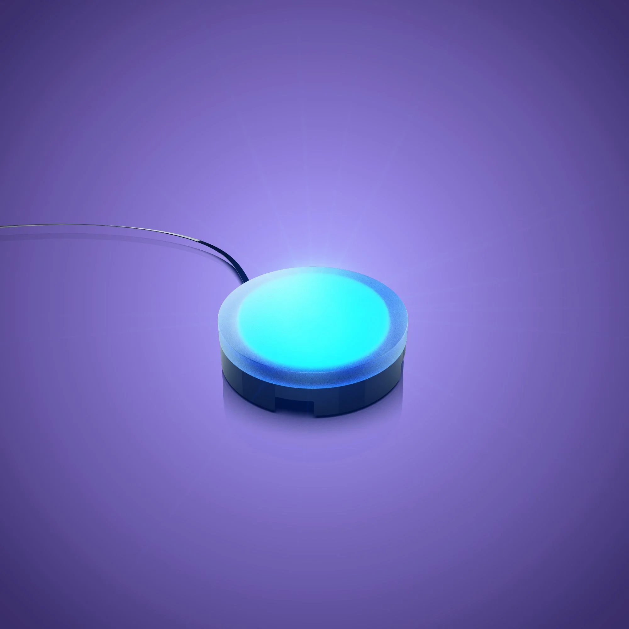 Solar Light - Blue 30cm (2 Pack)