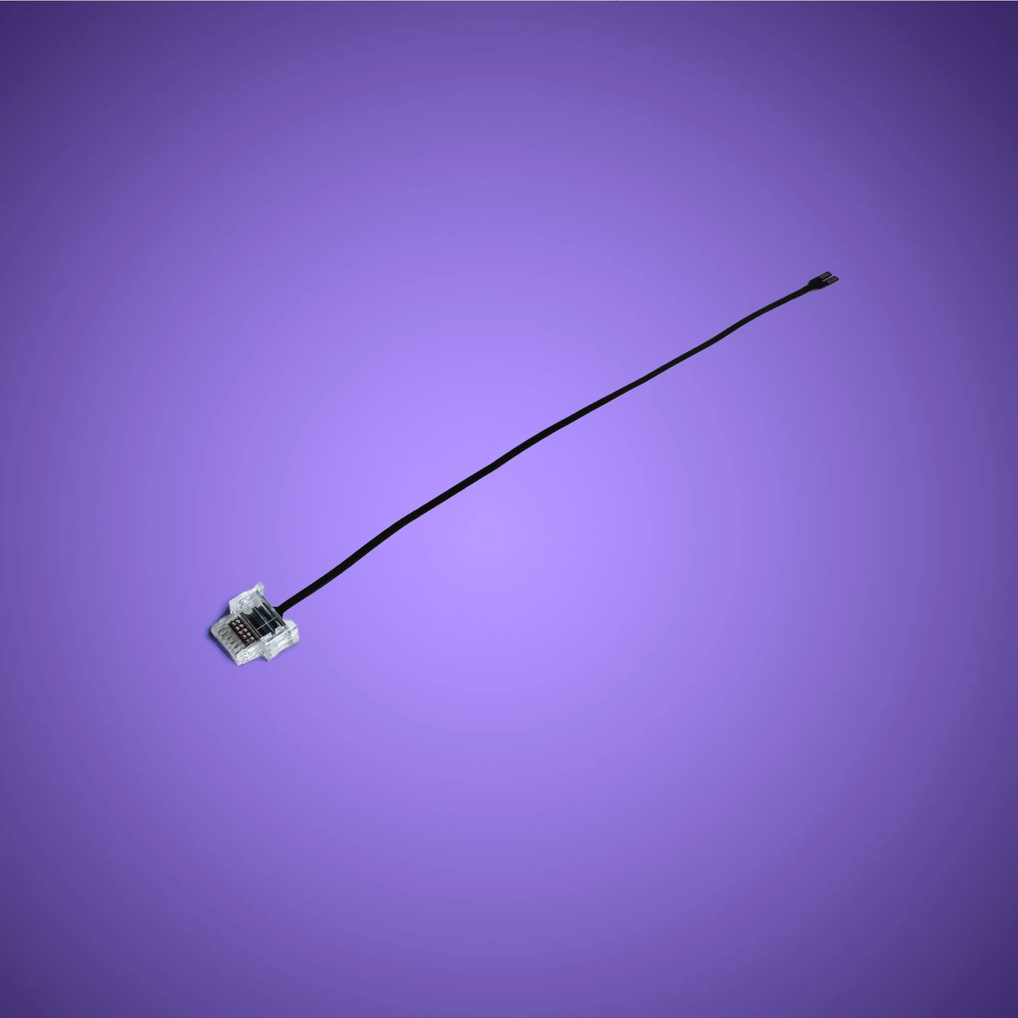 Powered Up Belt - 15cm - Image 2